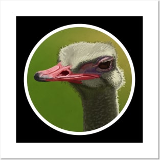 Ostrich Posters and Art